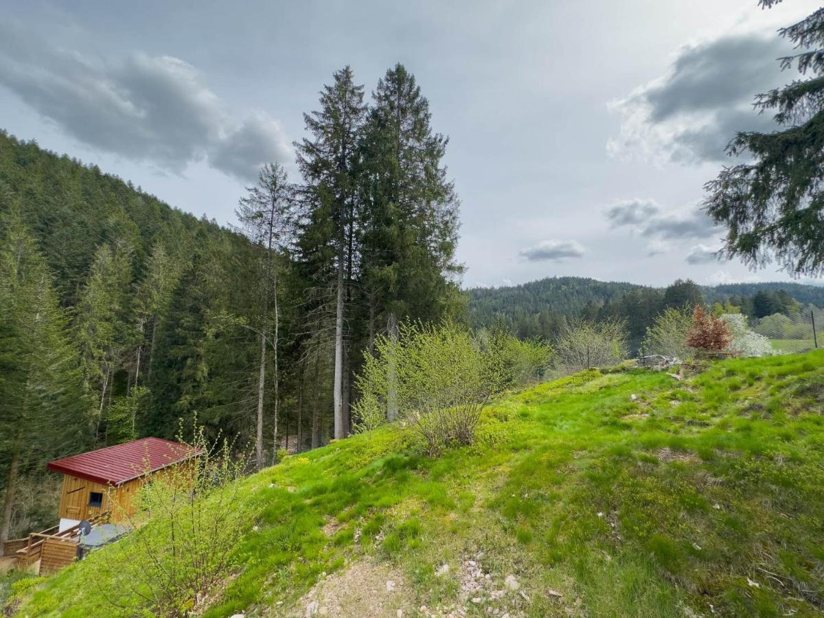 Le Refuge Perche Du Saut De La Bourrique Spa, Terrain Cloture Gérardmer Exterior foto