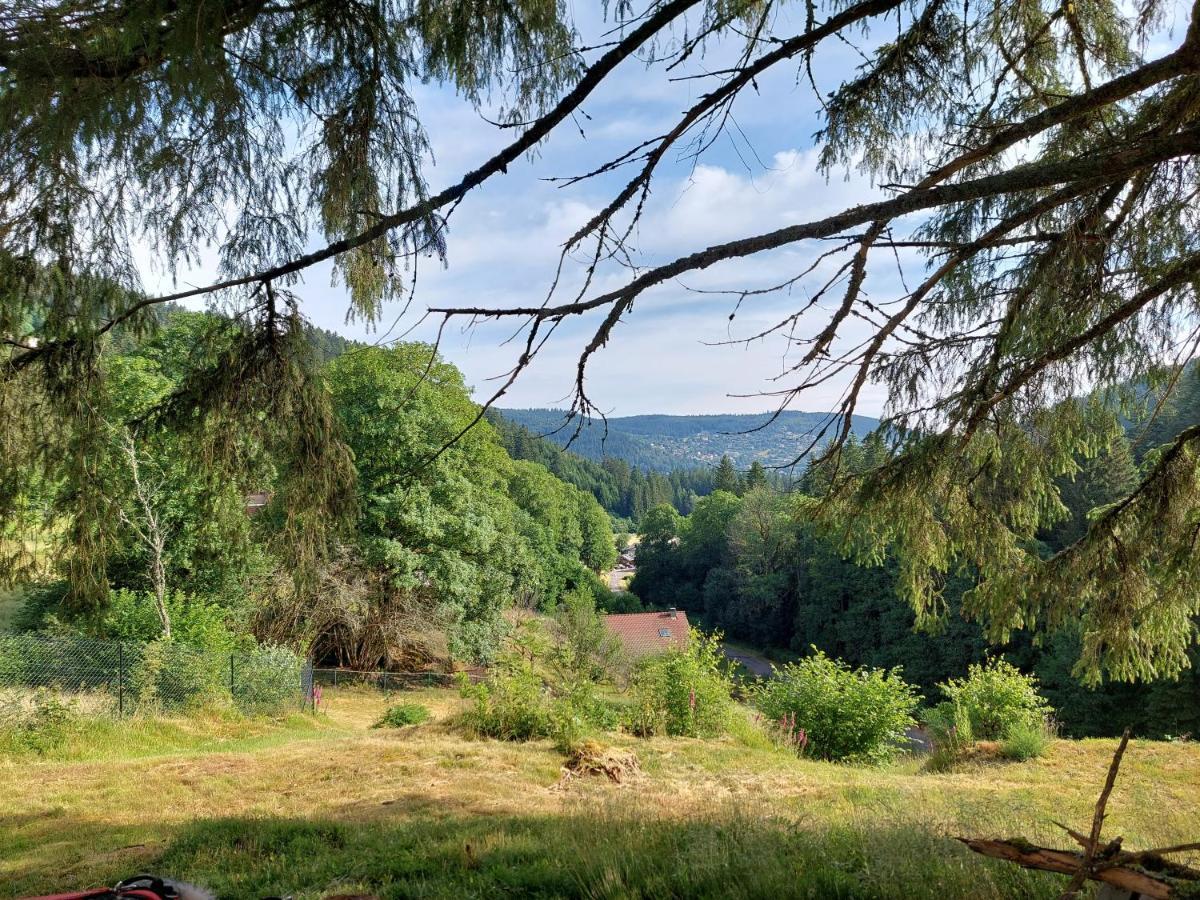 Le Refuge Perche Du Saut De La Bourrique Spa, Terrain Cloture Gérardmer Exterior foto